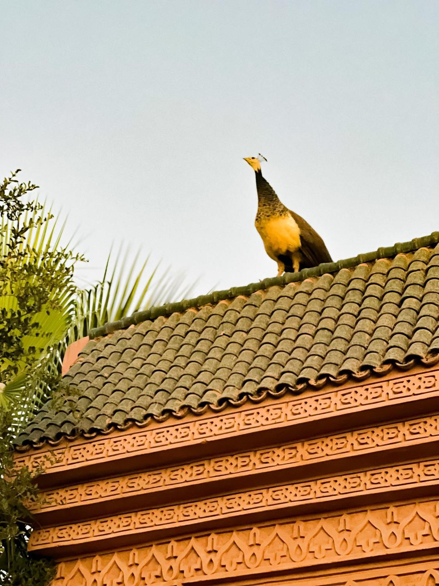 Guest House Qodwa Sidi Abdallah Ghiat المظهر الخارجي الصورة